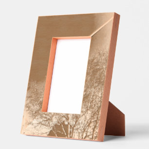 vleugelvliegtuigen en zwarte boom gegraveerde lijstjes