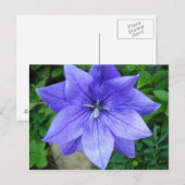 Vleurbleue Briefkaart (Voorkant / Achterkant)