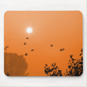 Vlieg bij zonsopgang Muismat