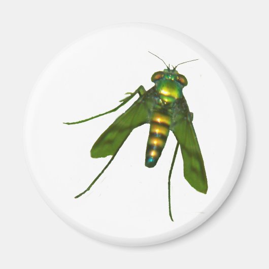 vlieg magneet (Voorkant)