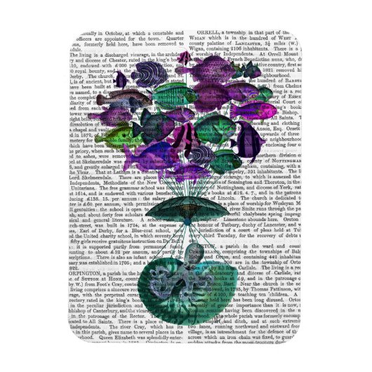 Vlieg van de luchtballon van de vis magneet (Verticaal)