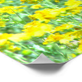 Vlieg van de vlinder poster (Hoek)