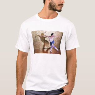 Vlieg van het Shirt Swan