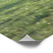 Vliegen bij varkens poster (Hoek)