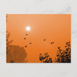 Vliegen bij zonsopgang Briefkaart