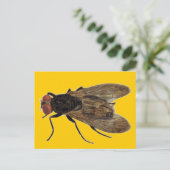 vliegen briefkaart (Staand voorkant)