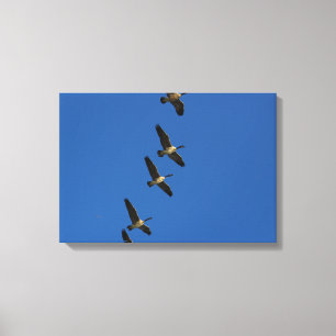 vliegen canvas afdruk