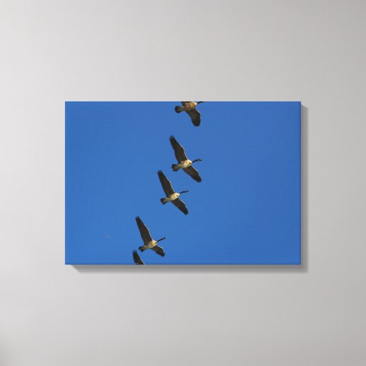 vliegen canvas afdruk (Voorkant)