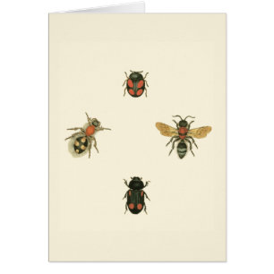 Vliegen en Beetles van Visual Studio