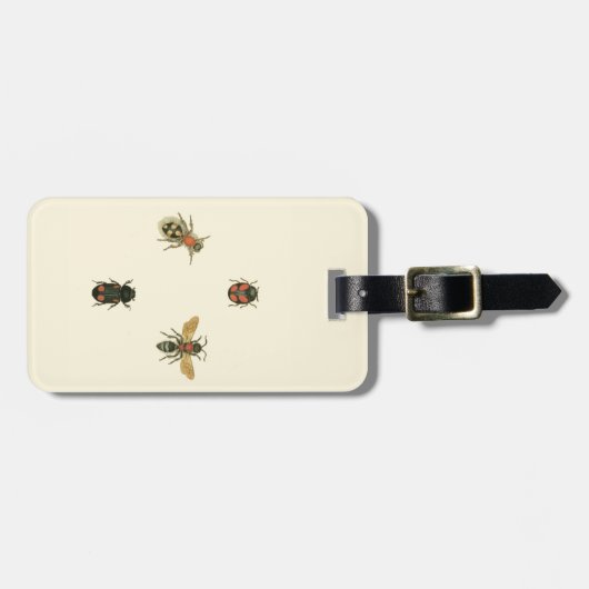 Vliegen en Beetles van Visual Studio Bagagelabel (Voorkant horizontaal)