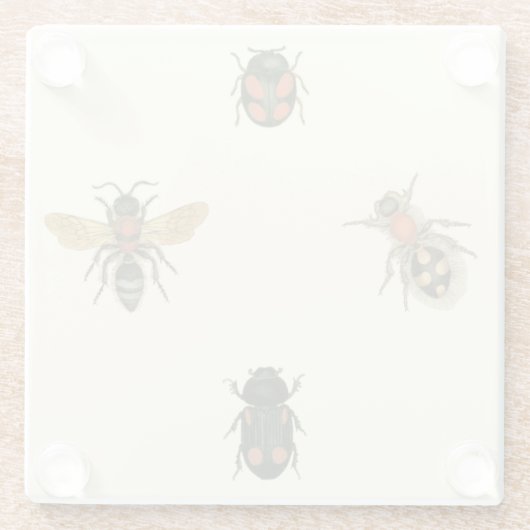 Vliegen en Beetles van Visual Studio Glazen Onderzetter (Achterkant)