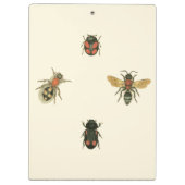 Vliegen en Beetles van Visual Studio Klembord (Achterkant)