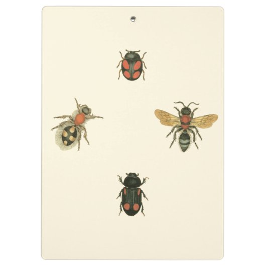 Vliegen en Beetles van Visual Studio Klembord (Achterkant)