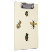 Vliegen en Beetles van Visual Studio Klembord (Rechts)