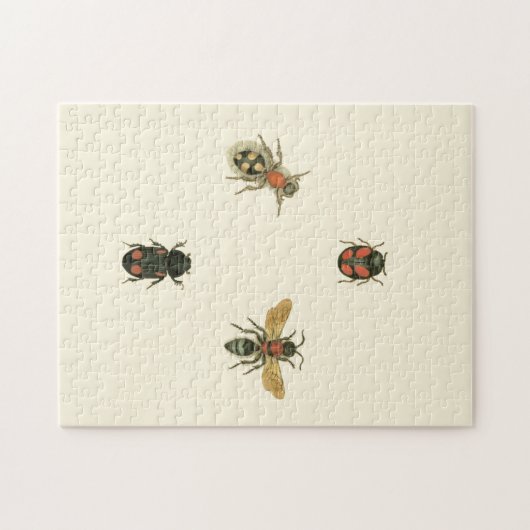 Vliegen en Beetles van Visual Studio Legpuzzel (Horizontaal)