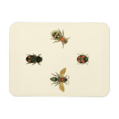 Vliegen en Beetles van Visual Studio Magneet (Horizontaal)