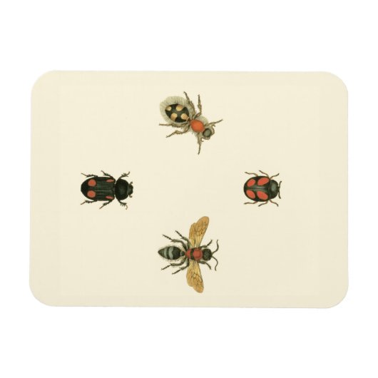 Vliegen en Beetles van Visual Studio Magneet (Horizontaal)