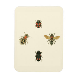 Vliegen en Beetles van Visual Studio Magneet