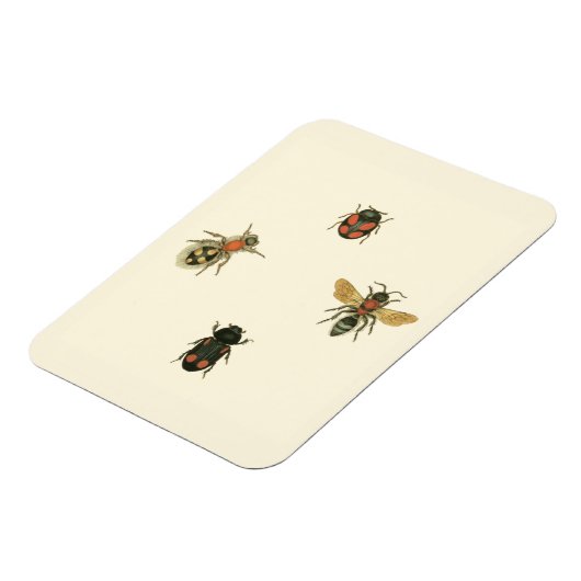 Vliegen en Beetles van Visual Studio Magneet (Linkerzijde)