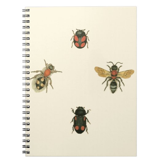 Vliegen en Beetles van Visual Studio Notitieboek (Voorkant)