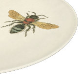 Vliegen en Beetles van Visual Studio Snijplank (Hoek)