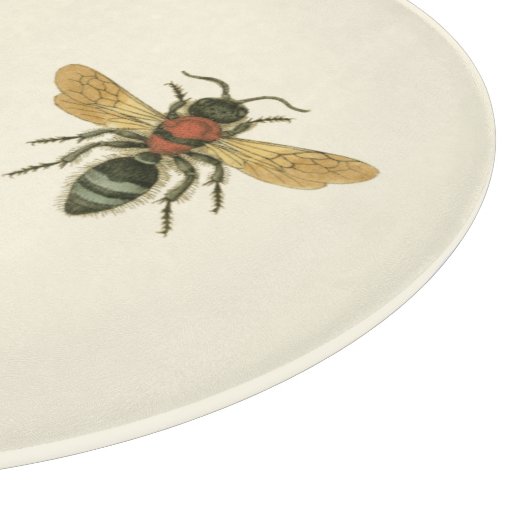 Vliegen en Beetles van Visual Studio Snijplank (Hoek)