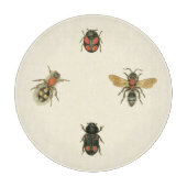 Vliegen en Beetles van Visual Studio Snijplank (Voorkant)