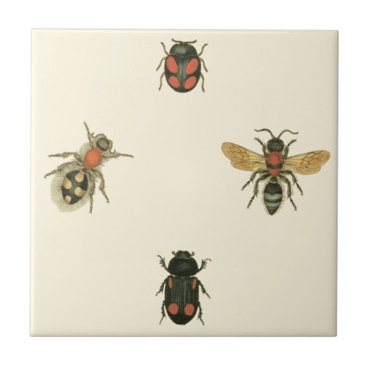 Vliegen en Beetles van Visual Studio Tegeltje (Voorkant)