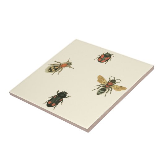 Vliegen en Beetles van Visual Studio Tegeltje (Zijkant)