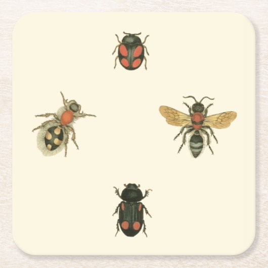 Vliegen en Beetles van Visual Studio Vierkante Kartonnen Onderzetter (Voorkant)