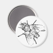 Vliegen Magneet (Voorkant / Achterkant)