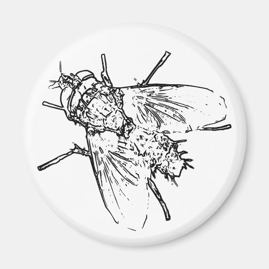 Vliegen Magneet (Voorkant)