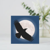 Vliegen met de maan erachter (Staand voorkant)