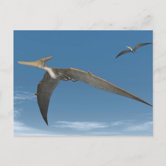 vliegen met Pteranodon dinosaurussen - 3D renderin Briefkaart (Voorkant)