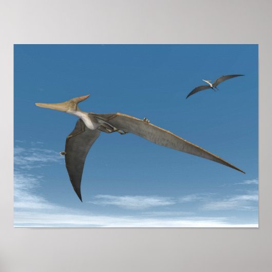 vliegen met Pteranodon dinosaurussen - 3D renderin Poster (Voorkant)