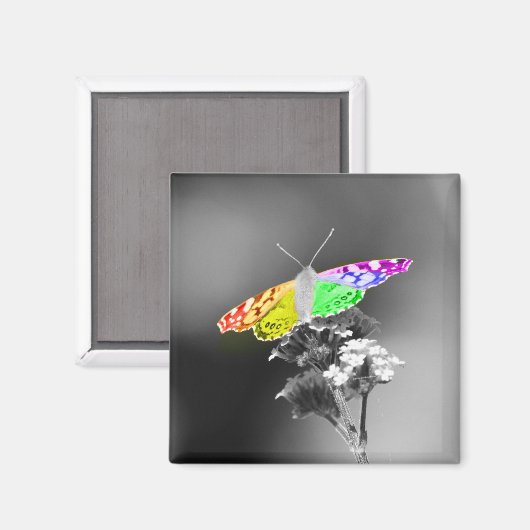 Vliegen met trots magneet (Voorkant / Achterkant)