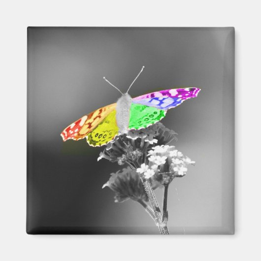 Vliegen met trots magneet (Voorkant)