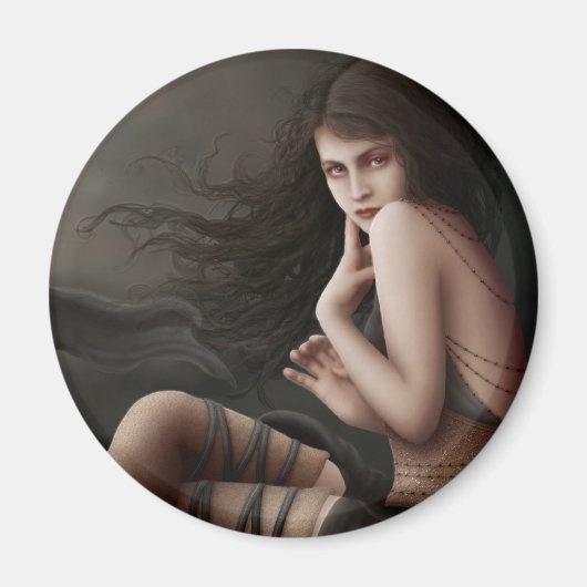 Vliegen met zonneschijn magneet (Voorkant)