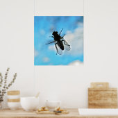 Vliegen op glas poster (Keuken)