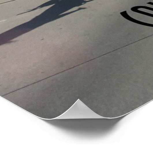 vliegen poster (Hoek)