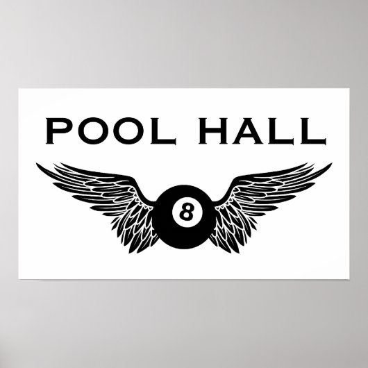 vliegenbal poster (Voorkant)