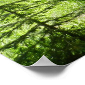 Vliegend buitengebouw poster (Hoek)