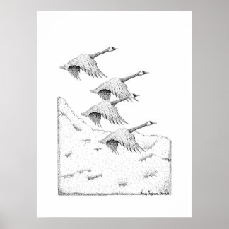Vliegend Canada Geese Pen en inkttekening Poster