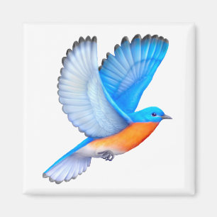 Vliegende Bluebird Magnet Magneet