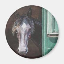 Vliegende boer uit de schuur