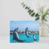 vliegende dolfijnen briefkaart (Staand voorkant)