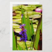 Vliegende dragonfly briefpapier (Voorkant / Achterkant)