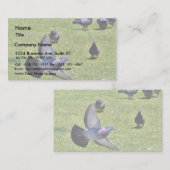 Vliegende duif visitekaartje (Voorkant / Achterkant)