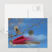 Vliegende eekhoorn briefkaart (Voorkant / Achterkant)