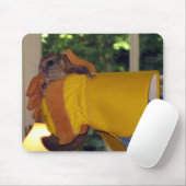 Vliegende eekhoorn muismat (Met muis)